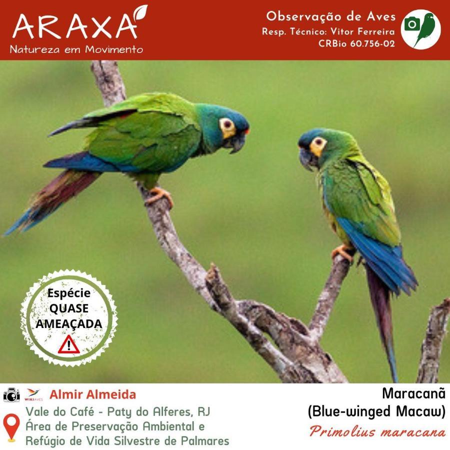 Sitio Araxa - 82 Anos De Historia - Suite Confortavel Em Meio A Floresta Paty do Alferes Luaran gambar
