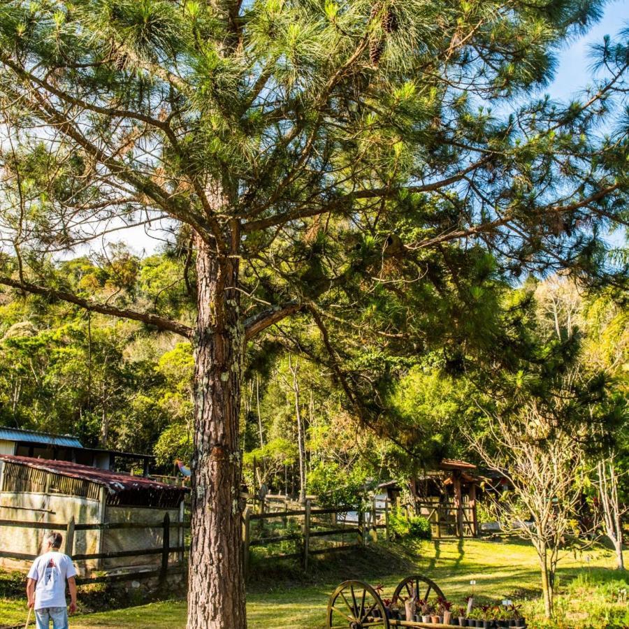 Sitio Araxa - 82 Anos De Historia - Suite Confortavel Em Meio A Floresta Paty do Alferes Luaran gambar